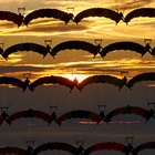 Canopy Formation Skydivers Set Sequential World Record!