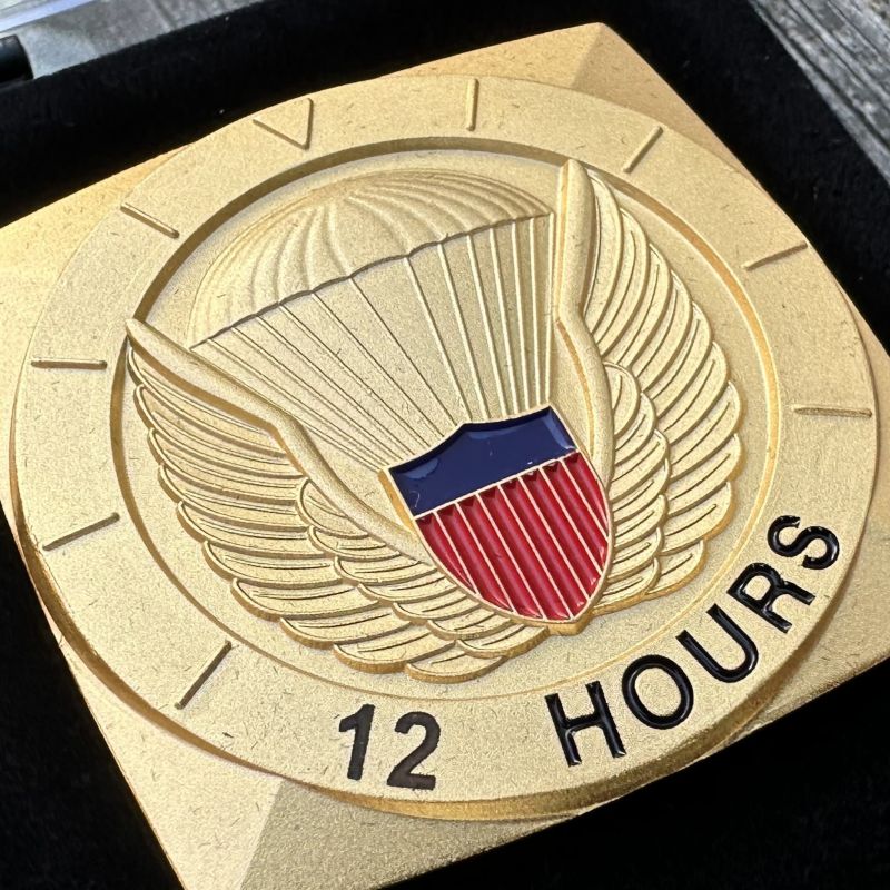 Sample Freefall Badge Award within a small case