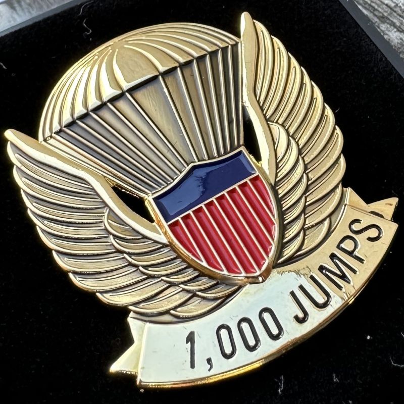 Sample Jump Wings award within a small case